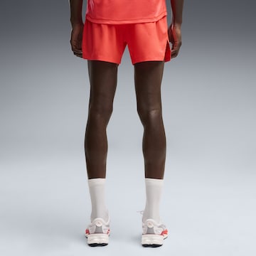 PUMA Regular Sportbroek 'Dreamrun 5' in Rood