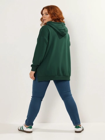 Shape Of You Sweatshirt in Groen