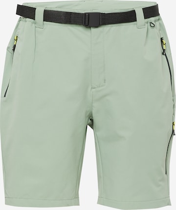 DARE2B Normalny krój Spodnie outdoor 'Tuned In Pro' w kolorze zielony: przód