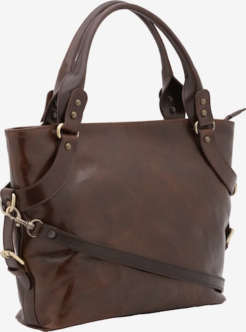 Viola Castellani Handbag in Brown: front