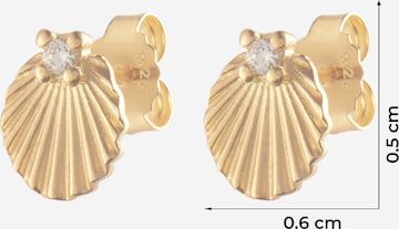 ENAMEL Copenhagen Earrings 'Edna' in Gold