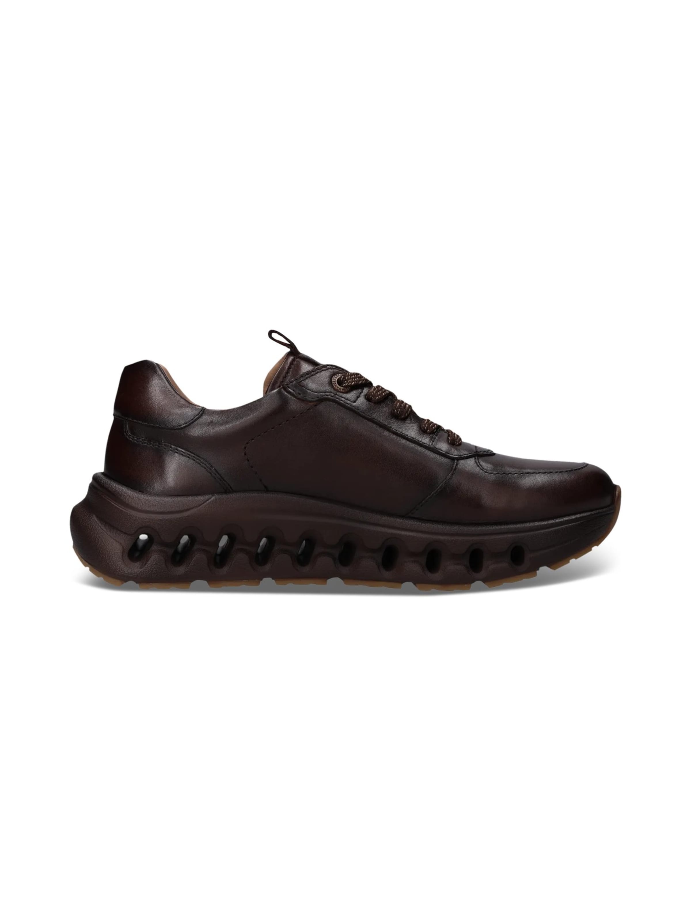 Baskets basses SALAMANDER en marron