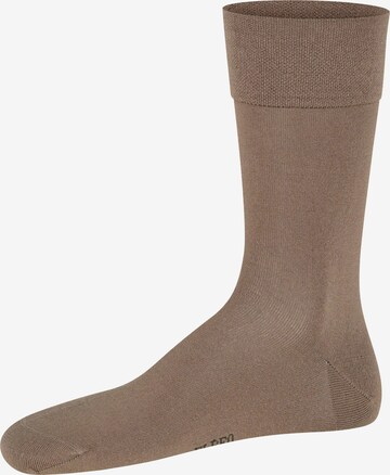 ELBEO Socks in Brown: front