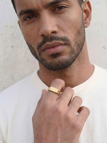 Akitsune Ring 'Fortis'‌‌‌‌‌‌ in Gold