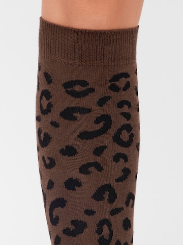 CALZEDONIA Knee High Socks in Brown