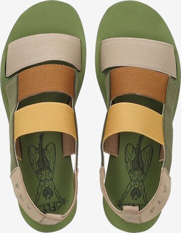 FLY LONDON Sandals in Mixed colors