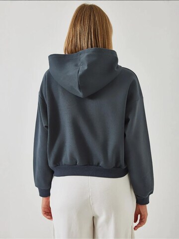 Bianco Lucci Sweatshirt 'Sweatshirts' in Grey