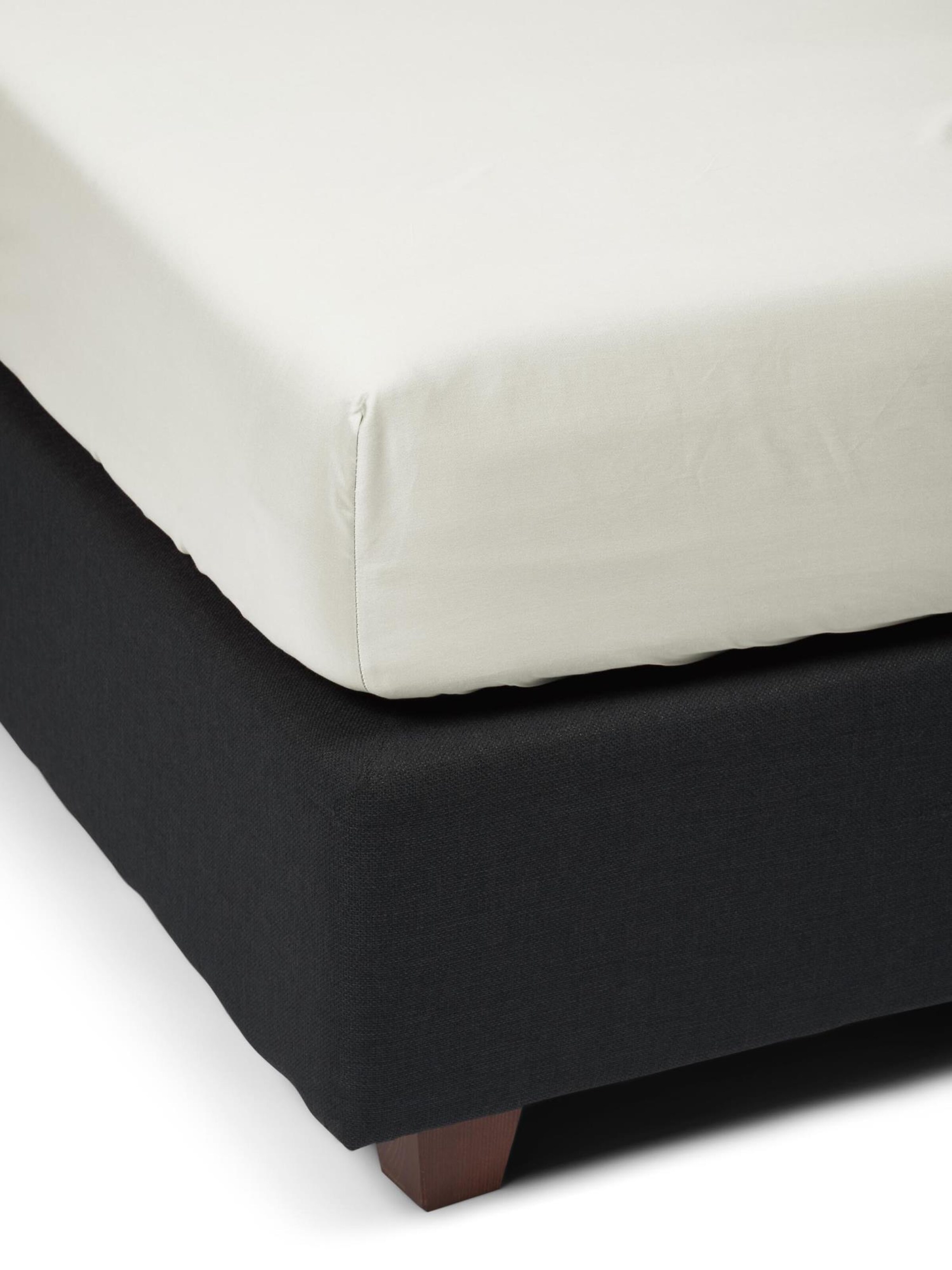 ESSENZA Bed Sheet in Beige