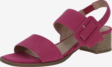 CAPRICE Sandals in Pink: front