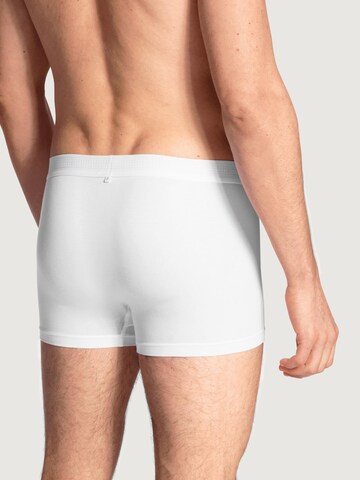 CALIDA Boxer shorts 'Focus' in White