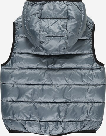 Gilet Champion Authentic Athletic Apparel en gris