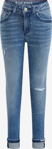 Skinny Jeans de la WE Fashion pe albastru: față