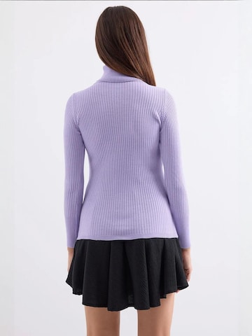 Bigdart Sweater in Purple