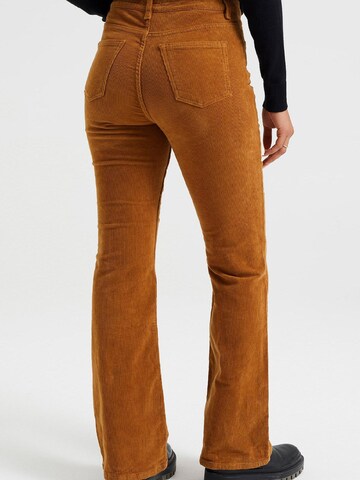 WE Fashion Flared Pants in Orange