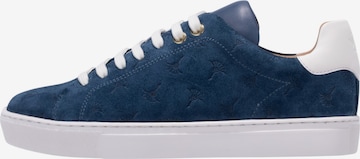 Baskets basses 'Velo Stampa Cari' JOOP! en bleu : devant