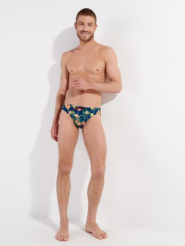 HOM Swim Trunks ' Flamingo ' in Blue