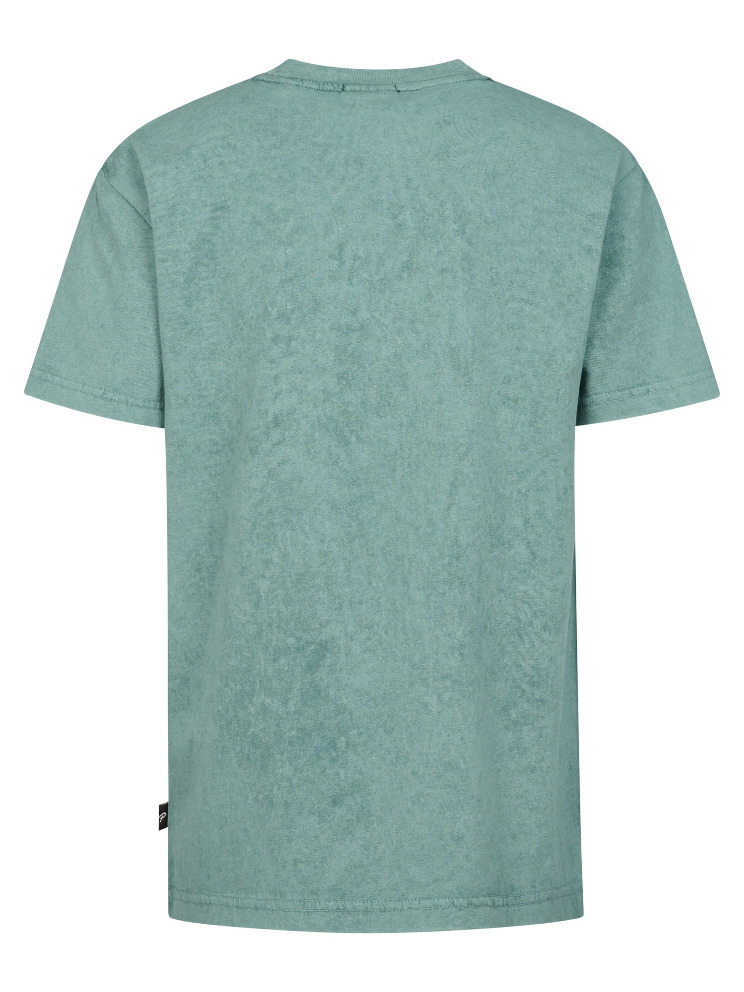 Petrol Industries Shirt 'Pitaya' in Groen