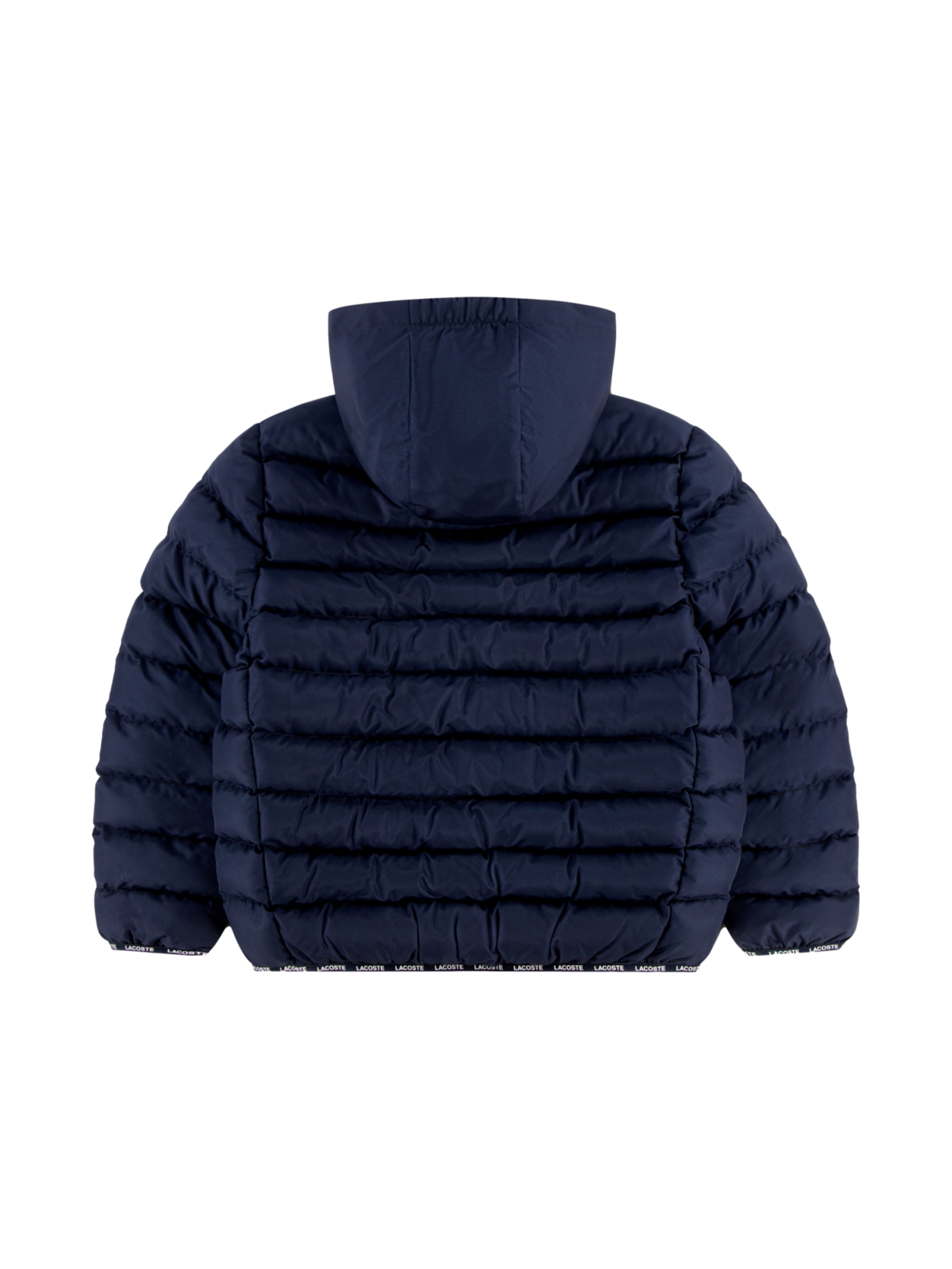 Giacca invernale di LACOSTE in blu