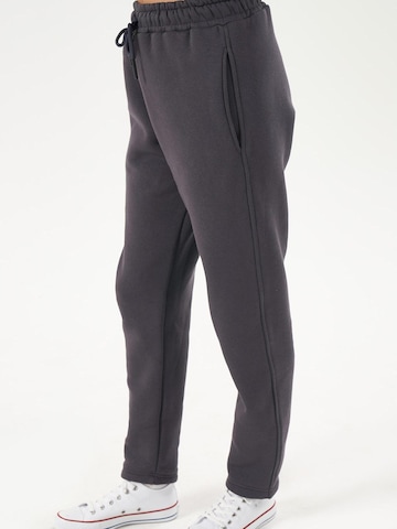 LOUIS LECLER Slimfit Broek 'Elise' in Grijs
