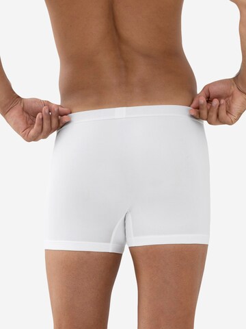 Mey Boxer shorts 'Cool' in White