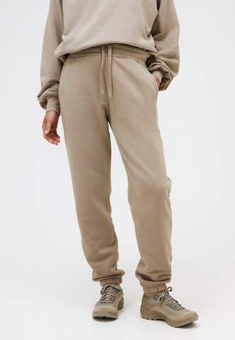 PEAK PERFORMANCE Regular Pants in Brown: front
