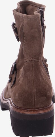 Paul Green Ankle Boots in Brown