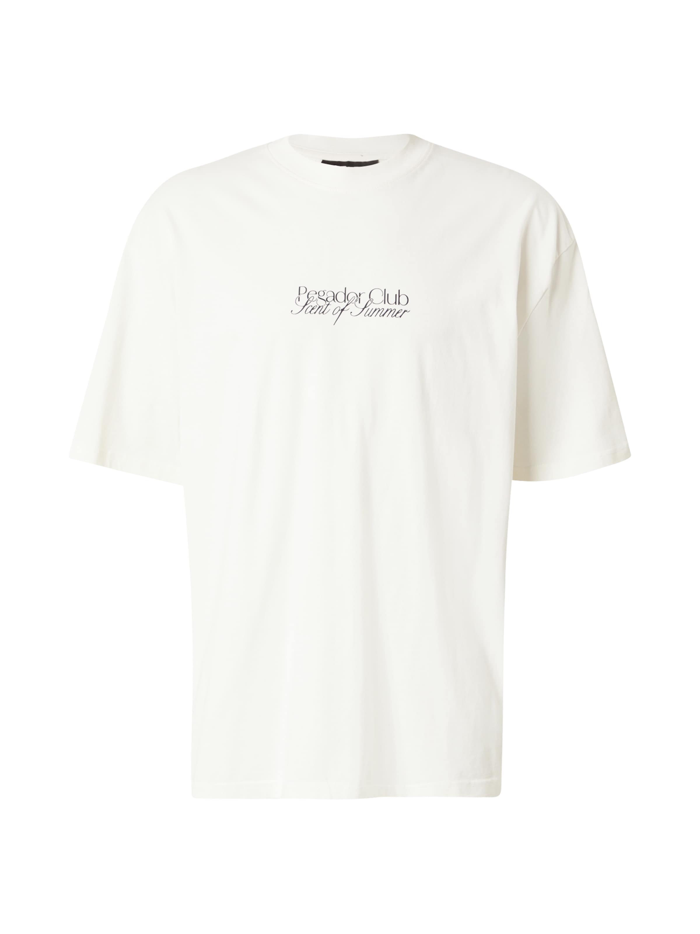 Maglietta 'Ramon' di Pegador in beige: frontale