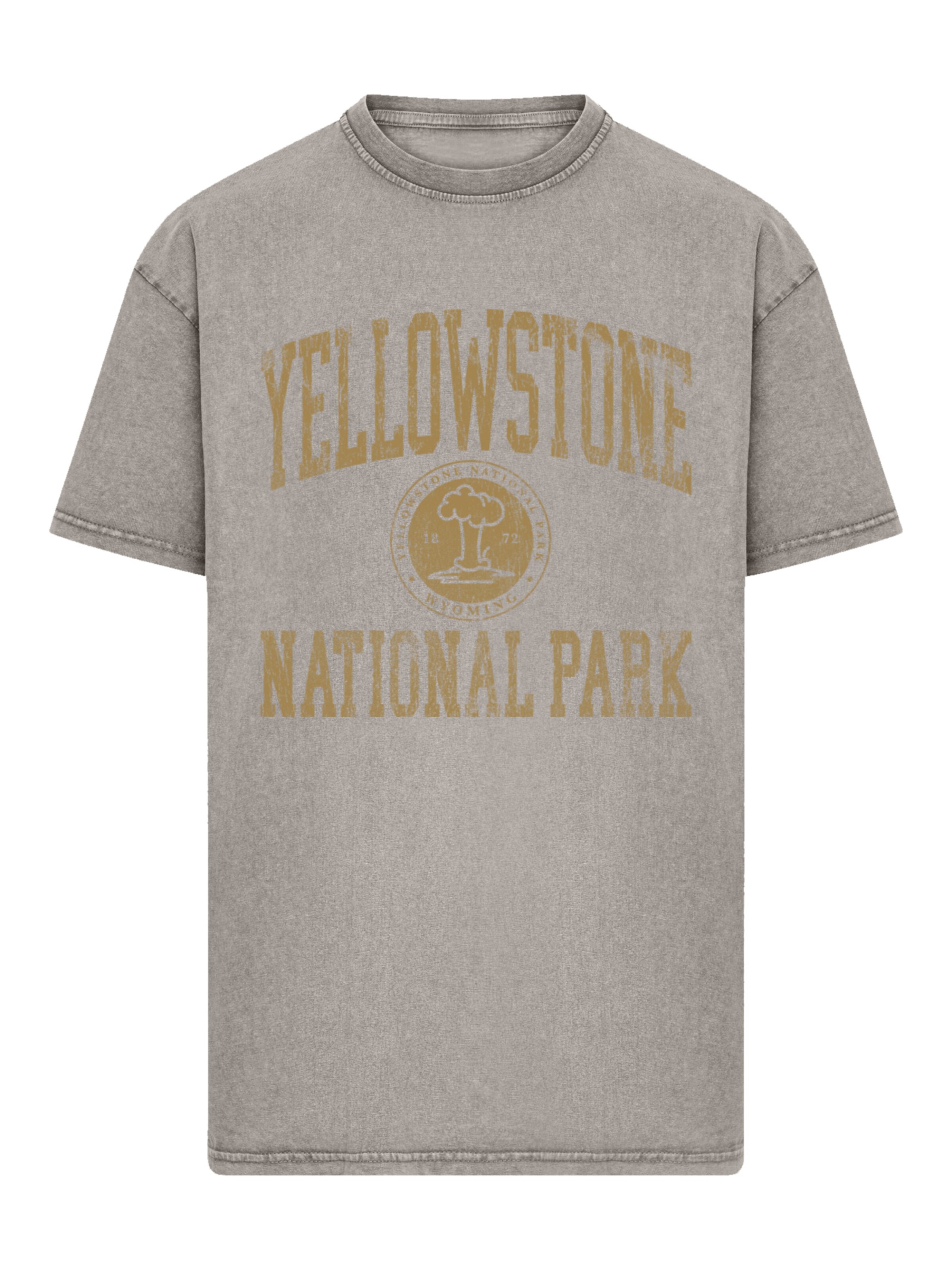 F4NT4STIC Shirt in Grey: front