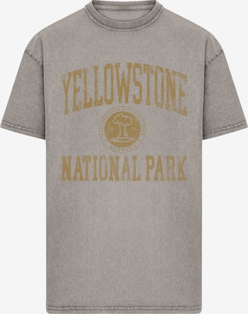 F4NT4STIC Shirt in Grey: front