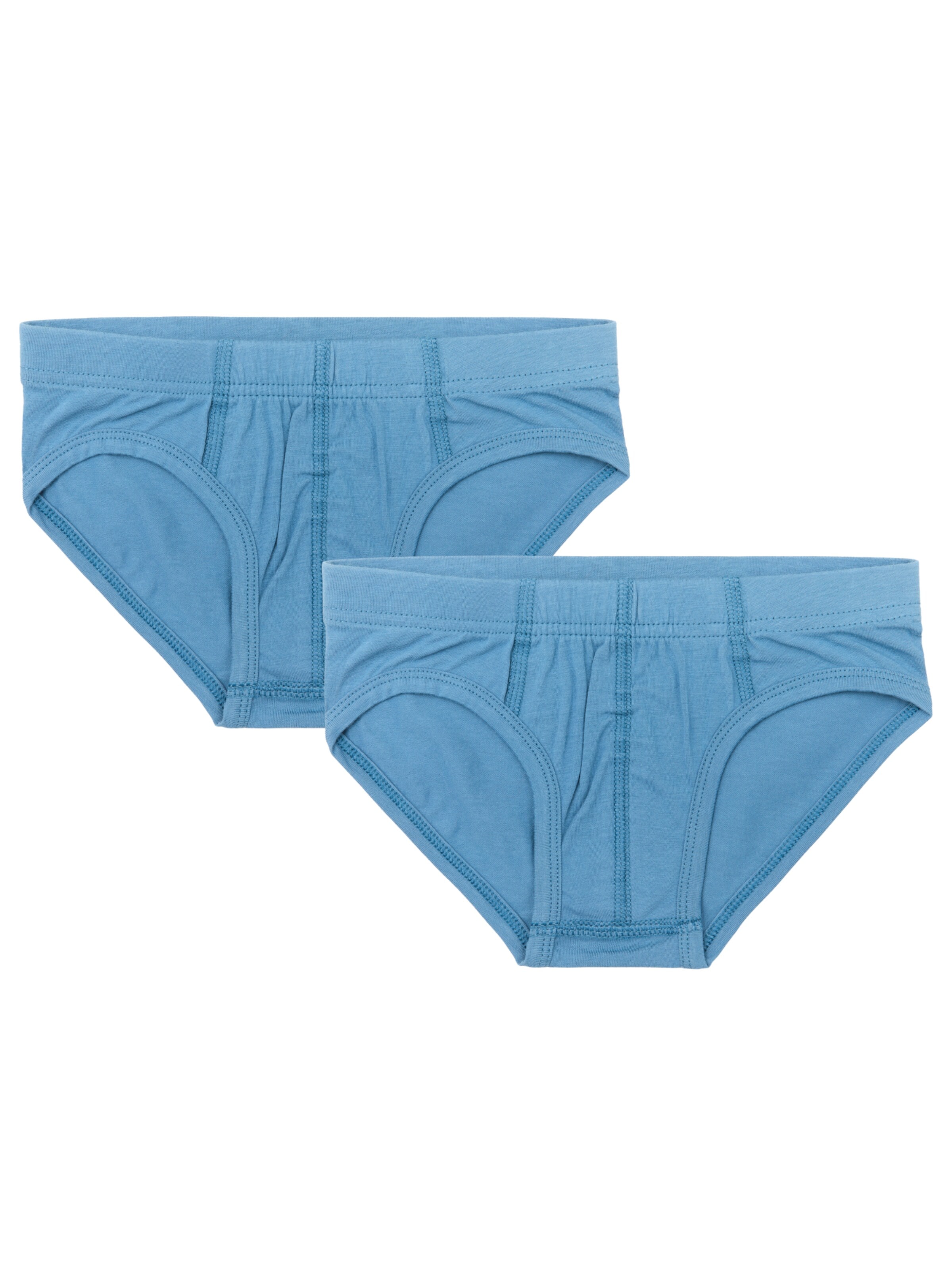 Albero Natur Underpants 'Bio-Baumwoll-Jungenslip-2er Pack' in Blue: front