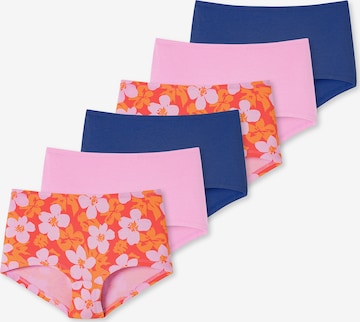 SCHIESSER Panty ' 95/5 Organic Cotton ' in Blau: predná strana