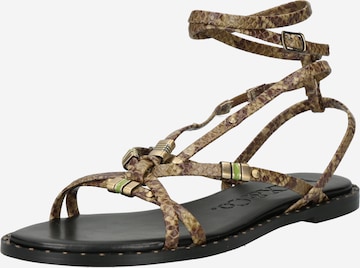 MAX&Co. Sandalen met riem 'STUDPALM' in Groen: voorkant