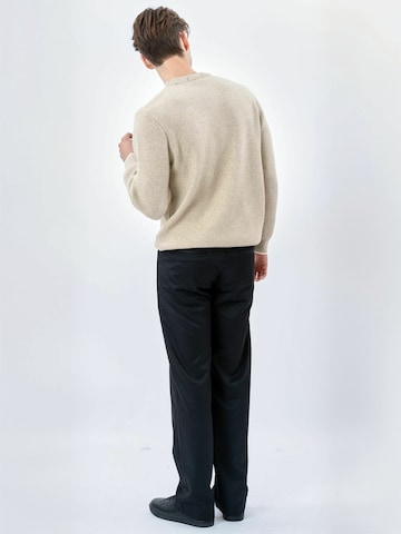TEESHOPPEN Trui ' Crewneck ' in Beige: terug