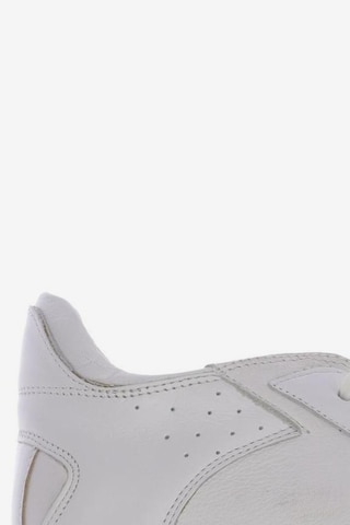 Maison Martin Margiela Sneakers & Trainers in 38 in White