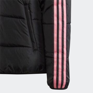 Giacca invernale 'Adicolor' di ADIDAS ORIGINALS in nero