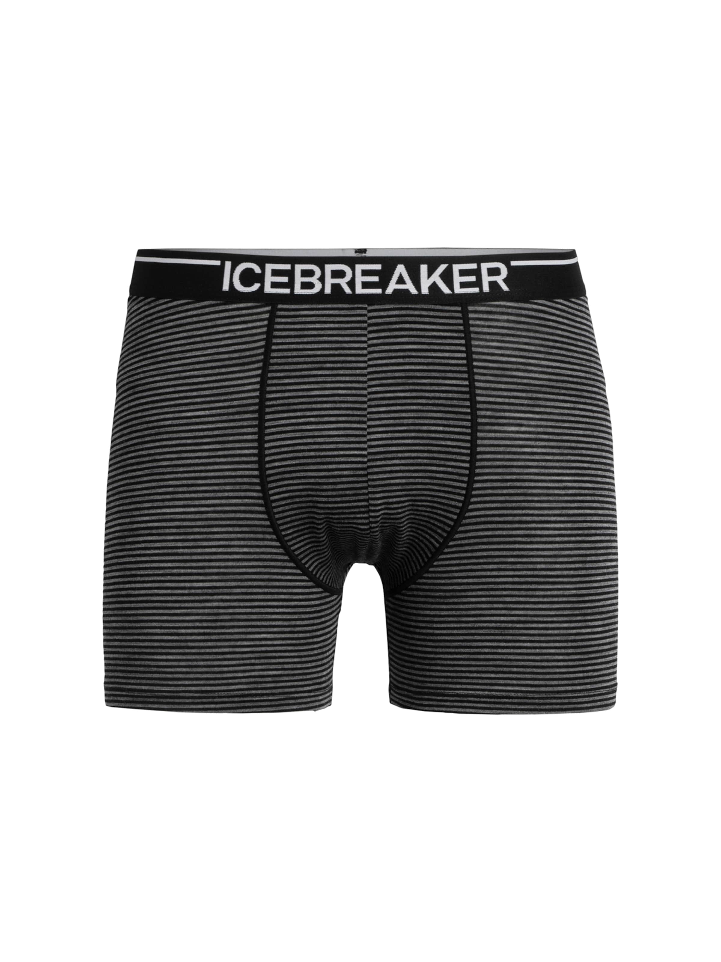 Icebreaker underpants sale