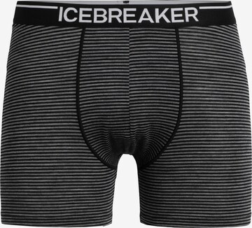 ICEBREAKER - Cueca desportiva 'Anatomica' em cinzento: frente