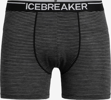 ICEBREAKER Athletic Underwear 'Anatomica' in Grey: front