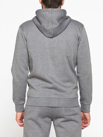 Carrera Jeans Sweatshirt‌‌‌‌‌‌‌‌‌ in Grau