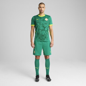Regular Pantalon de sport 'Senegal 2025' PUMA en vert