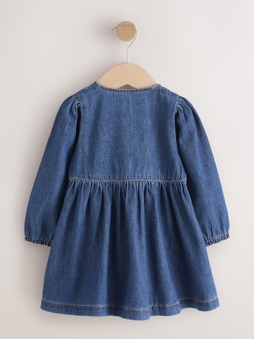 Next Dress in Blue