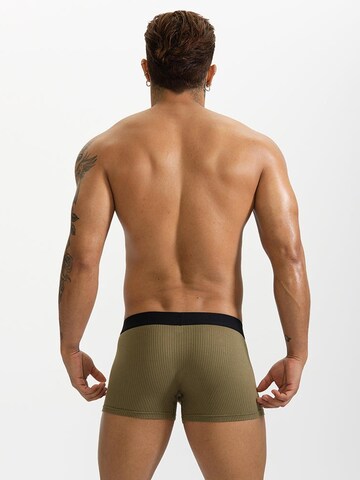 BIMONI Boxershorts in Grün