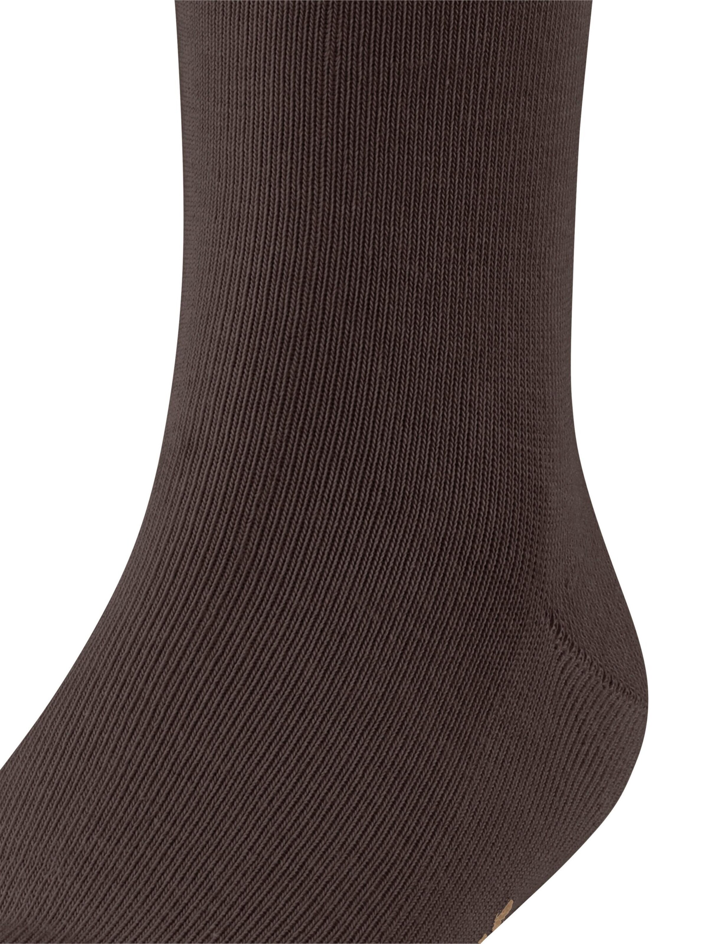 FALKE Socks 'Family' in Brown