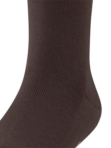 FALKE Socks 'Family' in Brown