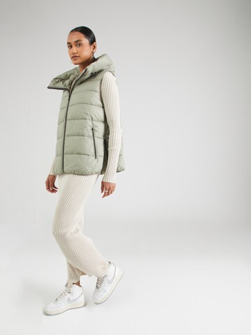 ESPRIT Bodywarmer in Groen