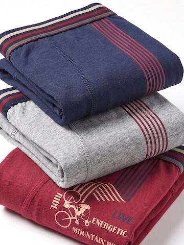 ÖTS Bielizna 'ÖTS Herren Boxer Briefs' w kolorze mieszane kolory