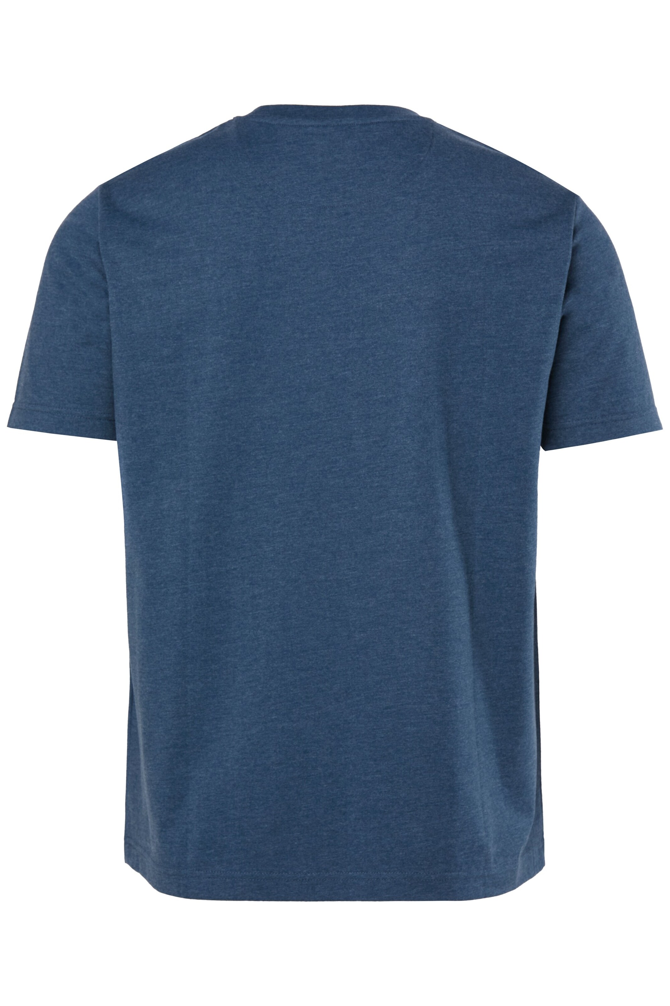 Men Plus Shirt in Blue