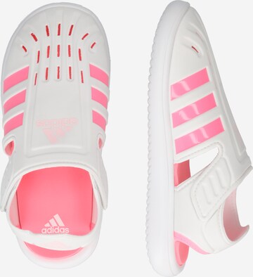 ADIDAS SPORTSWEAR Plážová/koupací obuv 'Summer Closed Toe Water' – bílá