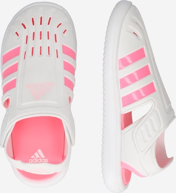 ADIDAS SPORTSWEAR Strand-/badesko 'Summer Closed Toe Water' i hvit