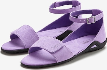 LASCANA Sandals in Purple